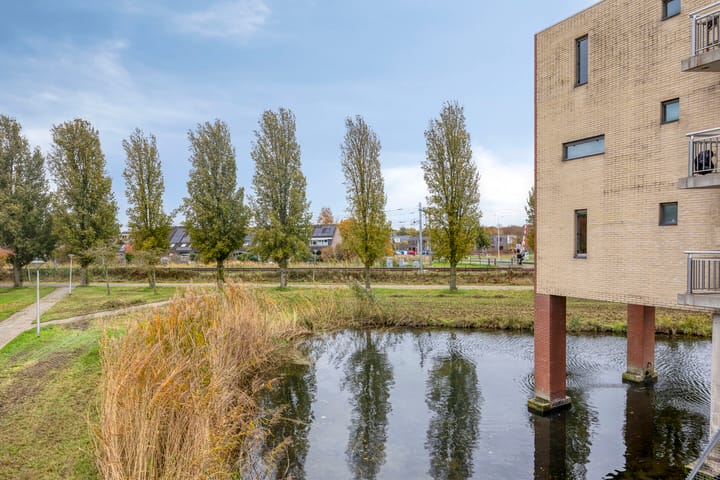 Photo 20 of Sichtermanmarke 220