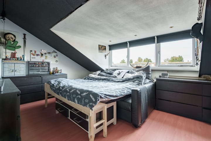 Foto 14 van Pieter Aertsenhage 12