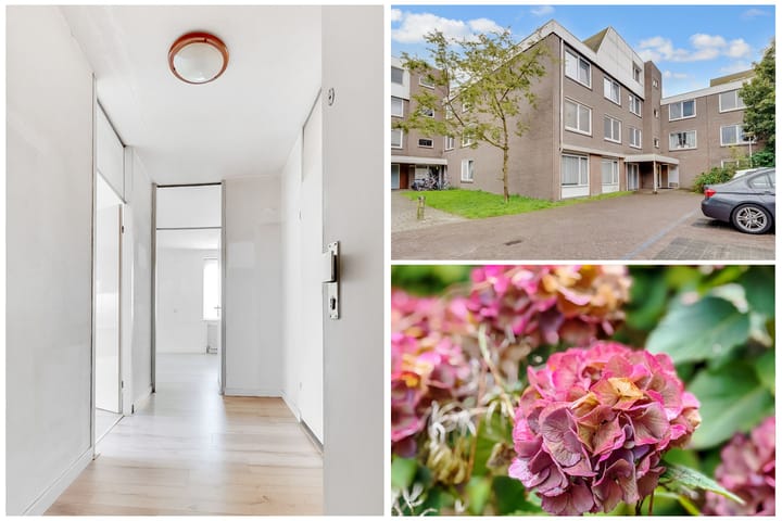 Photo 13 of Griend 21