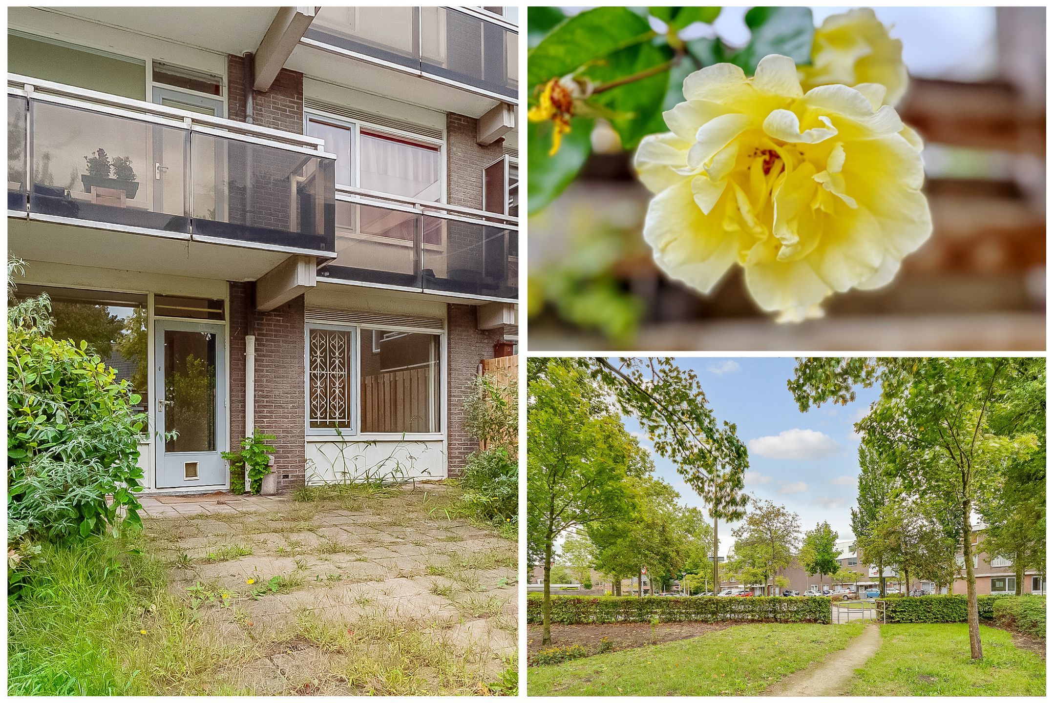 Foto 27 van Griend 21