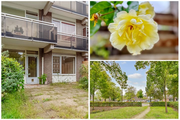 Photo 27 of Griend 21