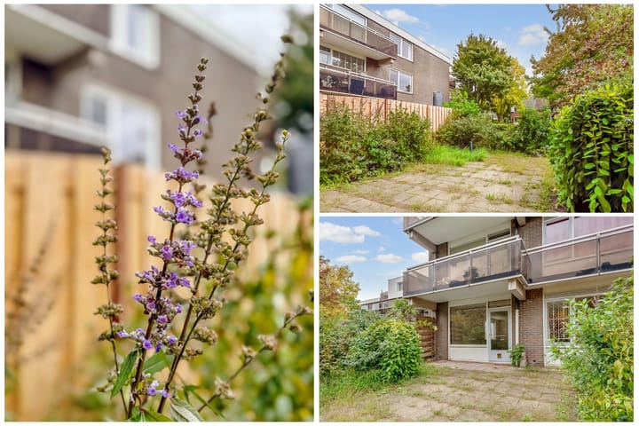 Photo 29 of Griend 21