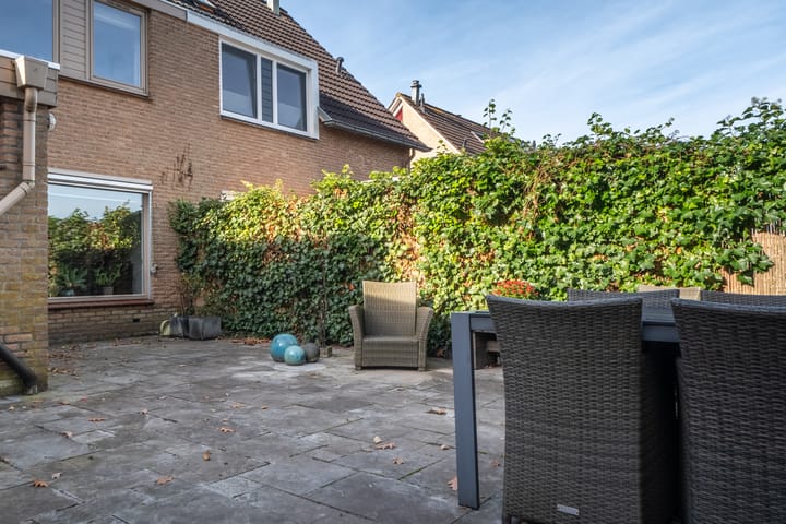 Photo 31 of Bolster 25