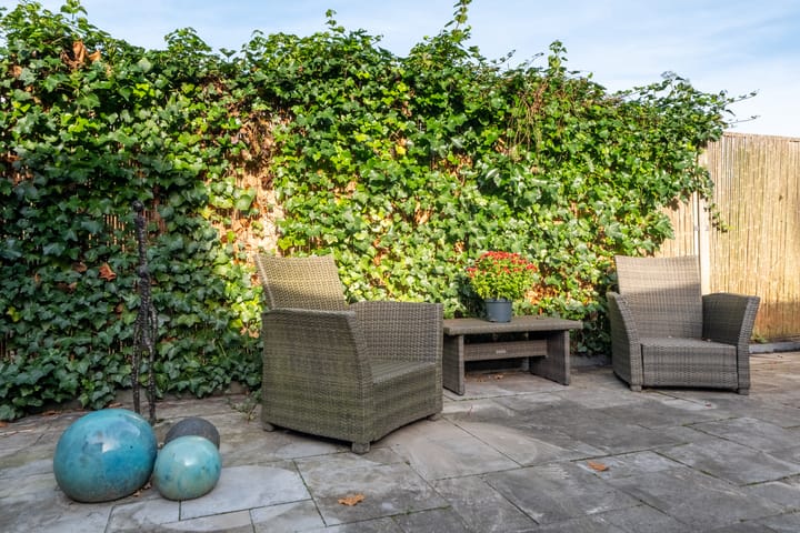 Photo 33 of Bolster 25