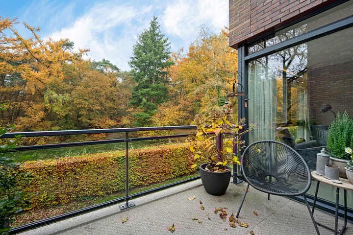 Foto 12 van Valtherlaan 251