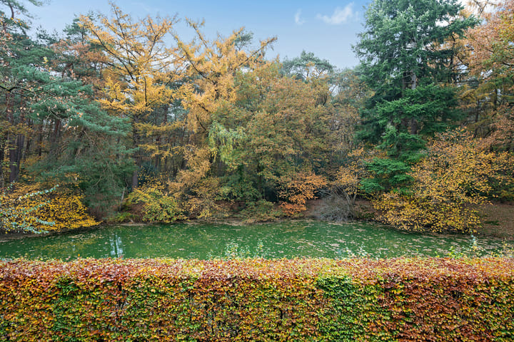 Foto 13 van Valtherlaan 251