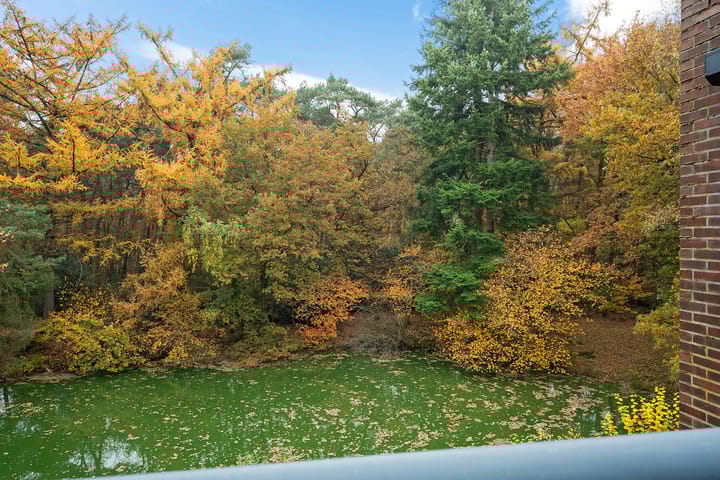 Foto 34 van Valtherlaan 251