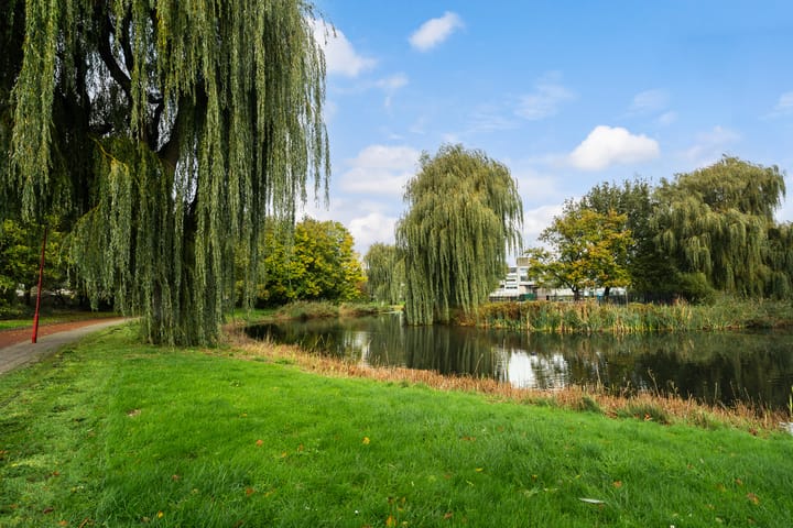 Foto 54 van Veronagroen 1