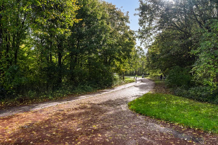 Foto 55 van Veronagroen 1