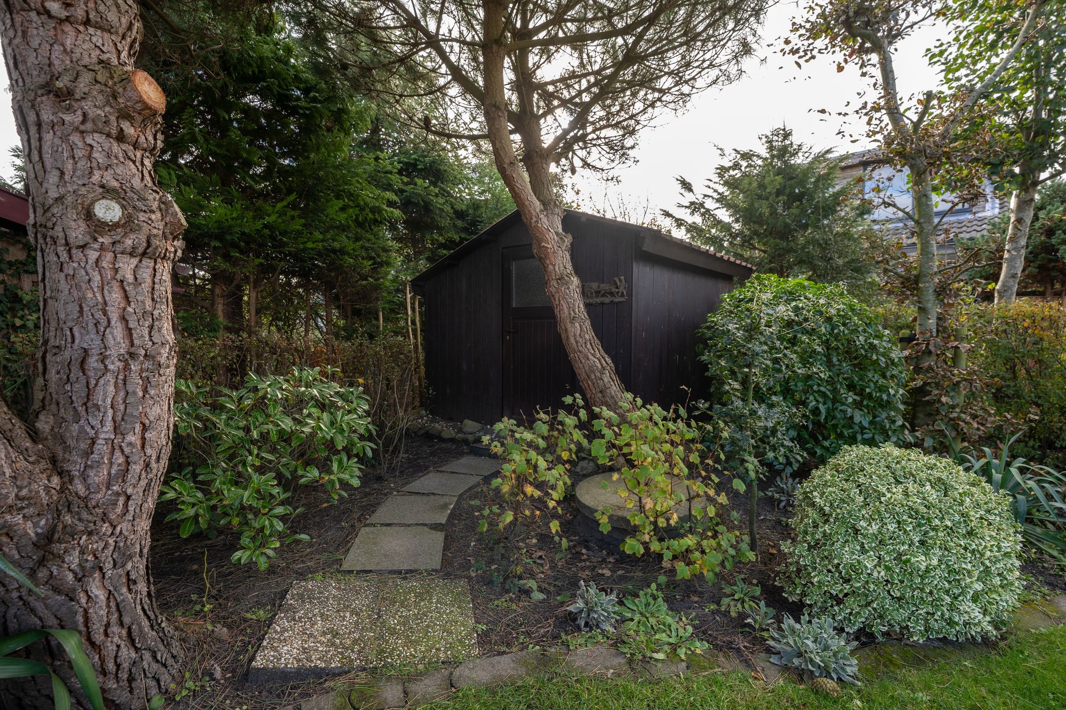 Photo 48 of Roggeslootweg 149