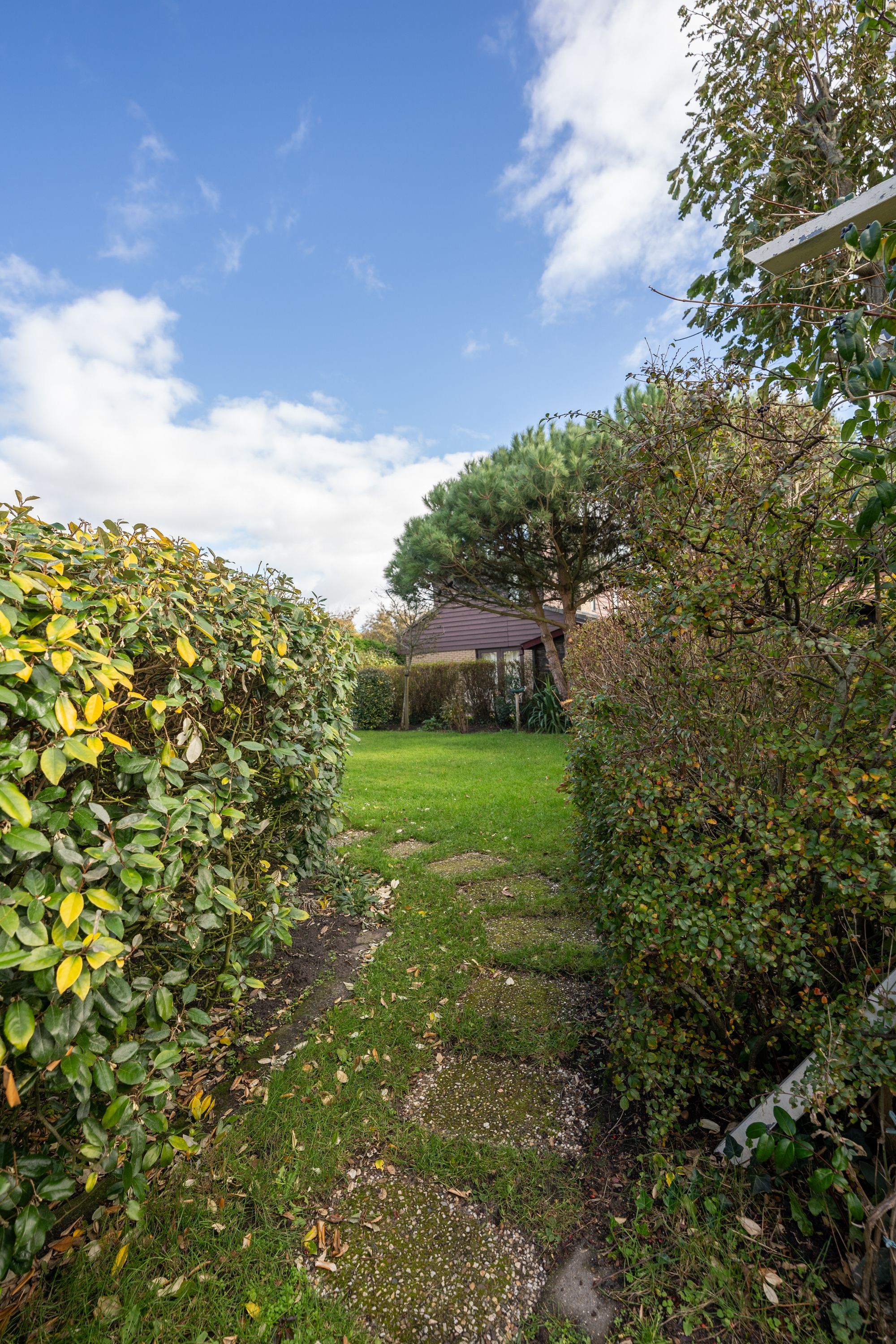 Photo 51 of Roggeslootweg 149