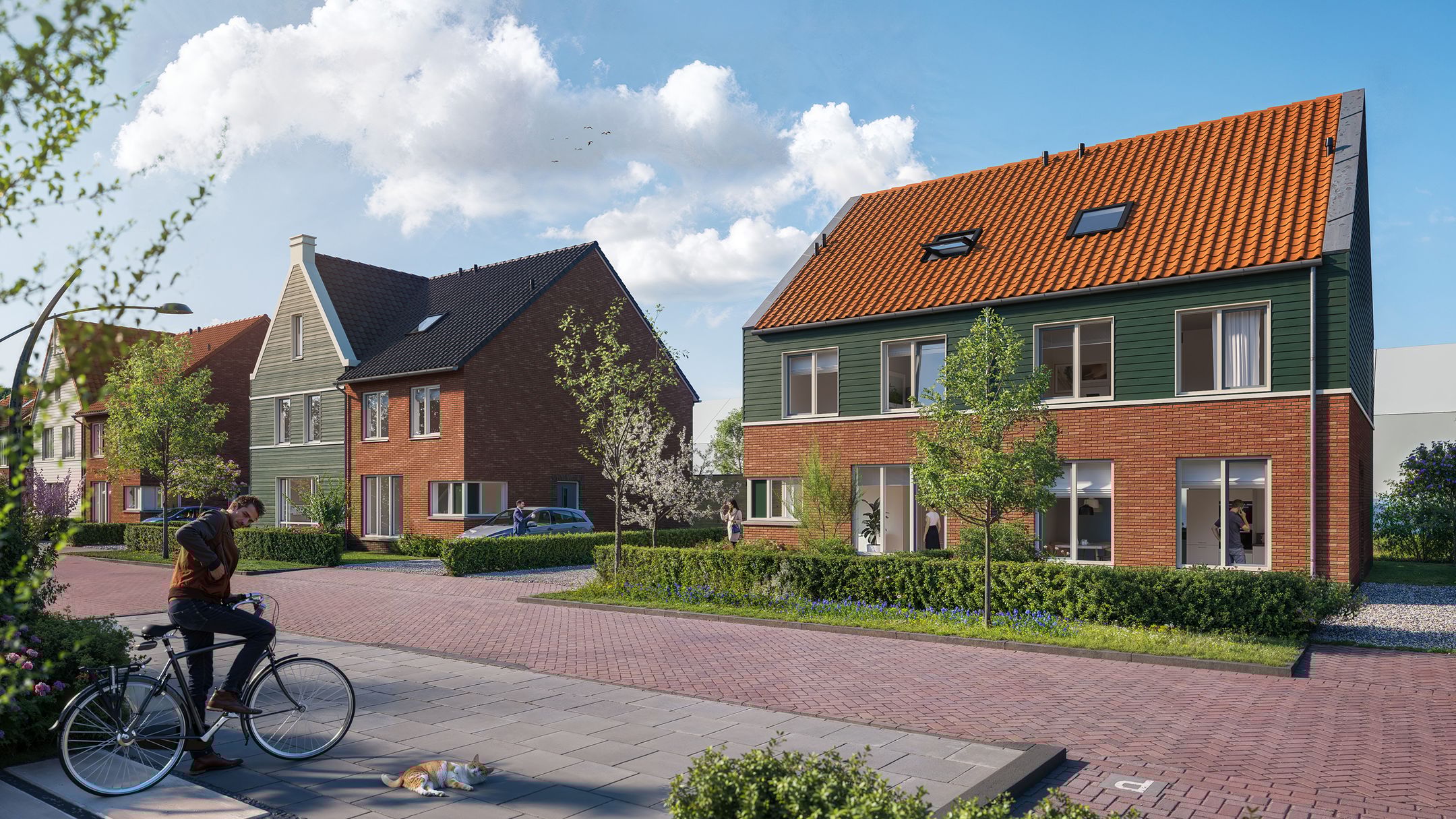 Pitrus, 17, Assendelft, 1567NE, Noord-Holland, Nederland 17