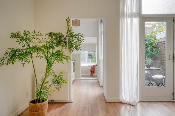 Foto 14 van Linnaeusstraat 1