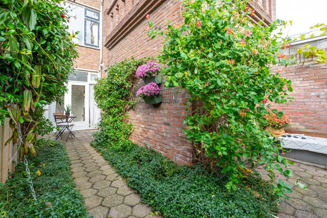 Foto 23 van Linnaeusstraat 1