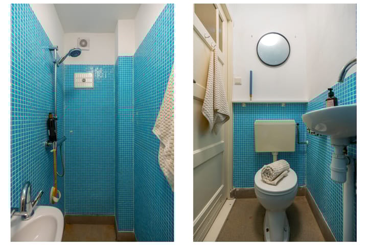 Foto 29 van Linnaeusstraat 1