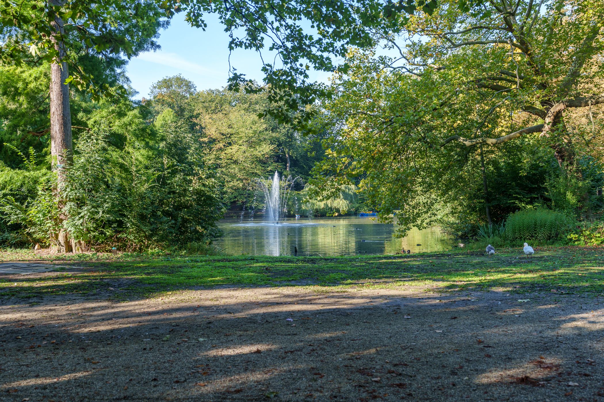 Foto 33 van Linnaeusstraat 1