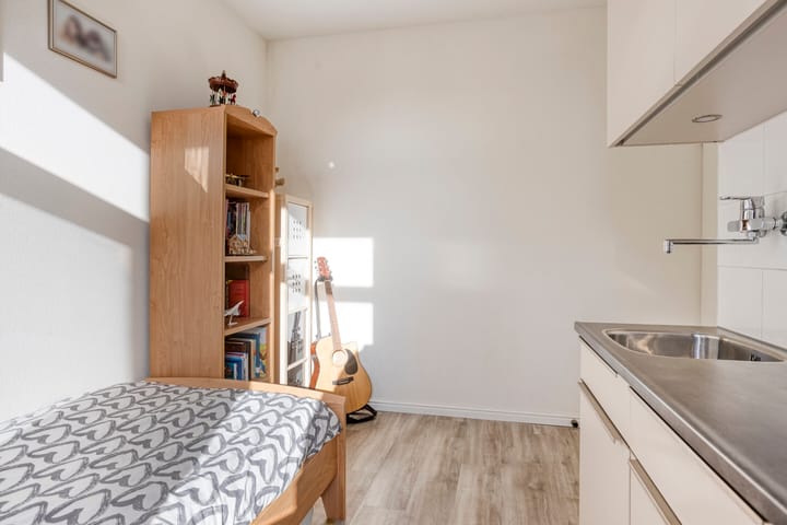 Photo 24 of Bomenbeemd 6