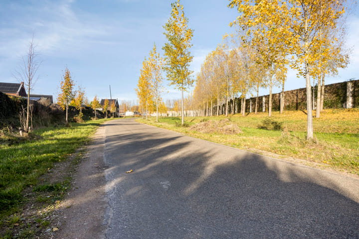 Photo 33 of Bomenbeemd 6