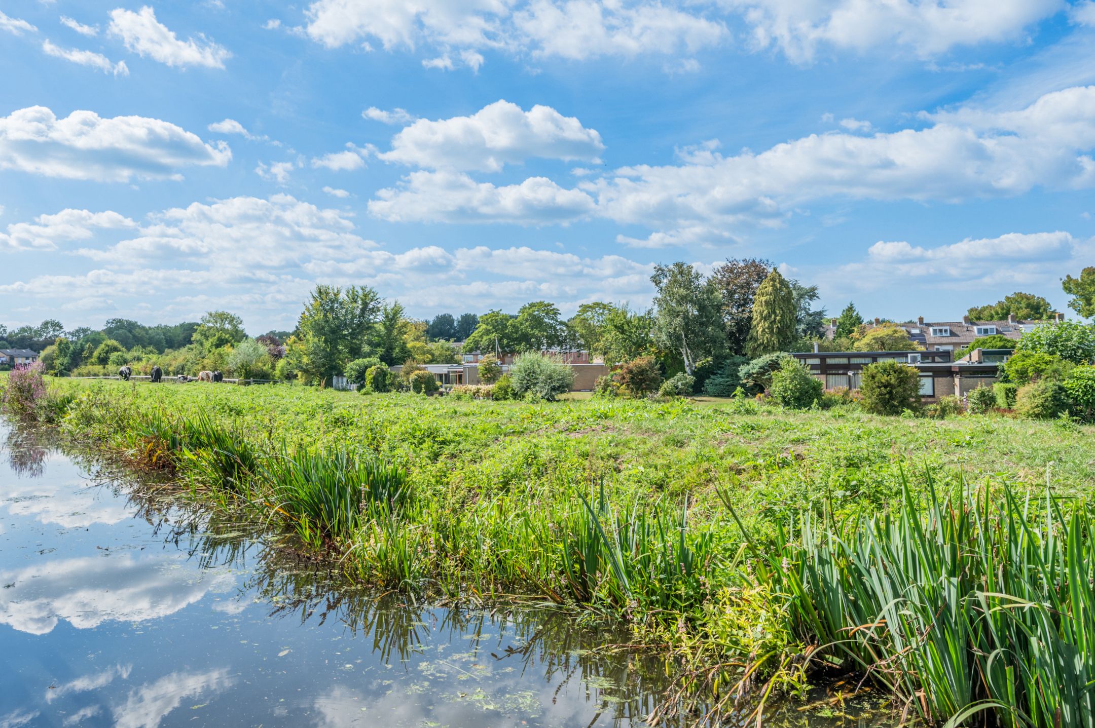 Foto 3 van Hofland 29