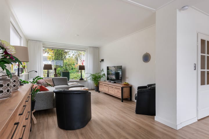 Foto 13 van Looiersplantsoen 9