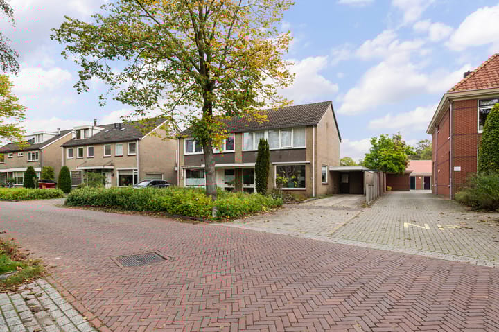 Foto 28 van Looiersplantsoen 9