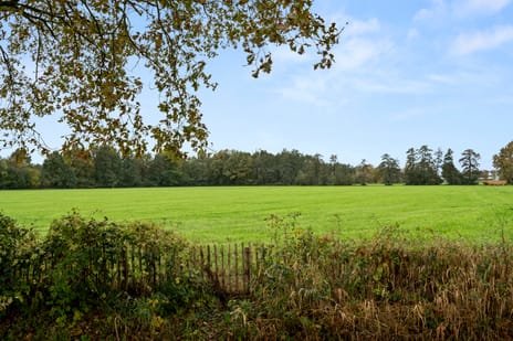 Wildekamp 46 tertiary image