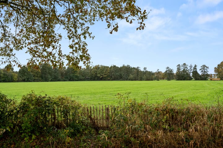 Photo 3 of Wildekamp 46