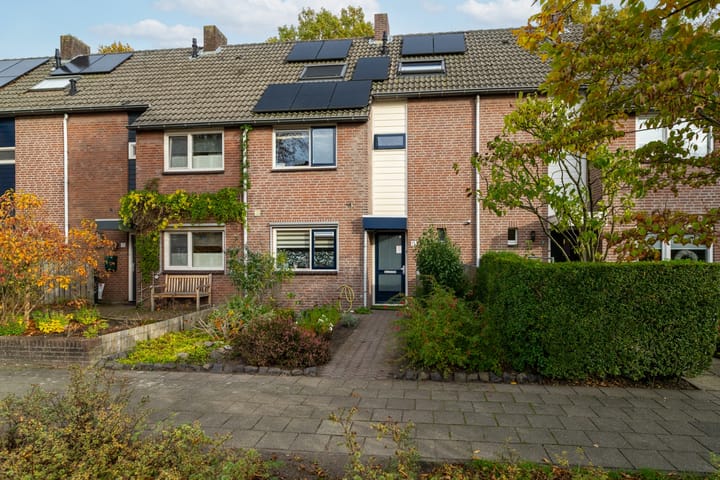 Kamille 15 main image