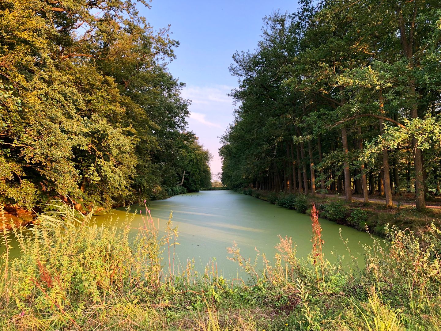 Foto 35 van Nassaulaan 3