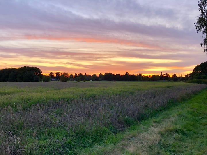 Foto 36 van Nassaulaan 3