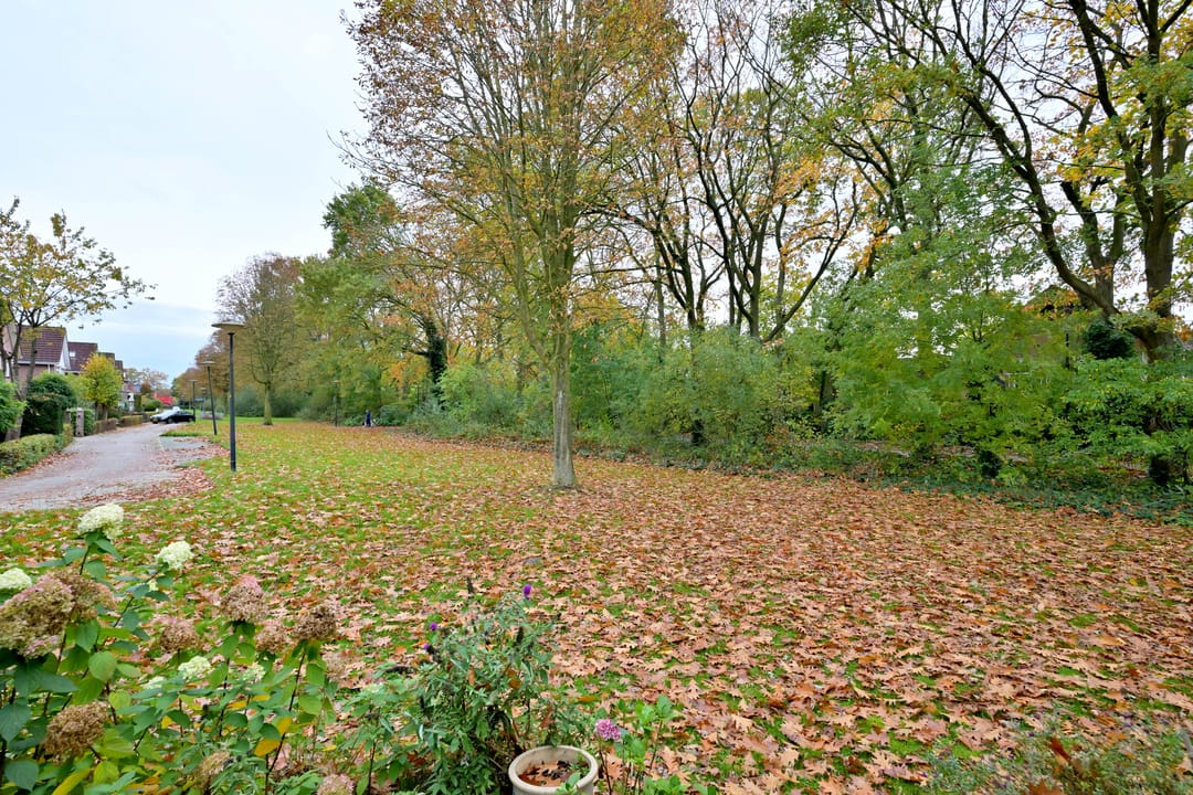 Foto 7 van Dudokstraat 3