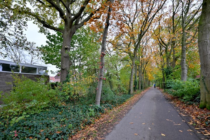 Photo 29 of Dudokstraat 3