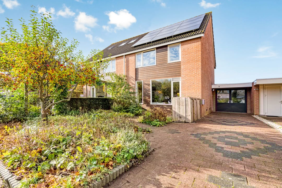 Foto 1 van Esdoorn 31