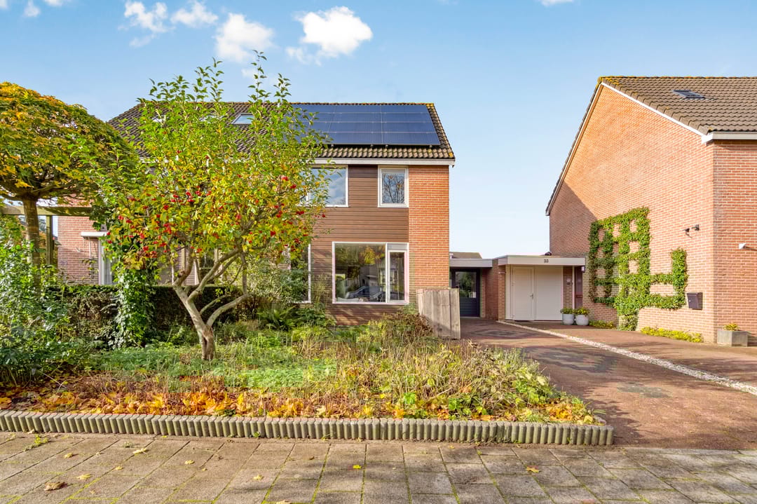 Foto 2 van Esdoorn 31