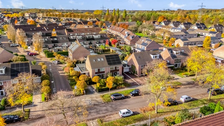 Foto 4 van Esdoorn 31