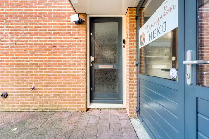 Foto 5 van Esdoorn 31