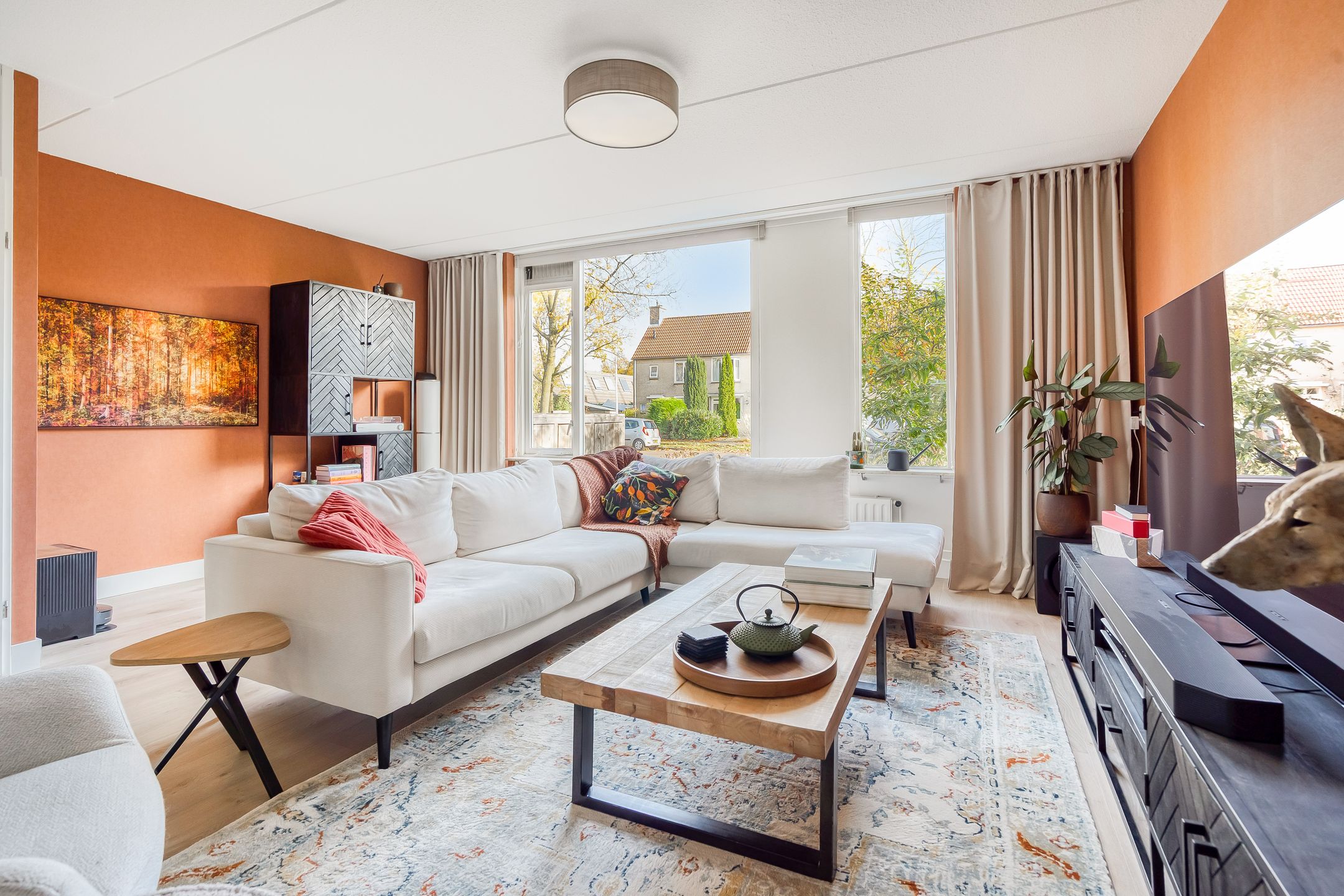 Foto 9 van Esdoorn 31