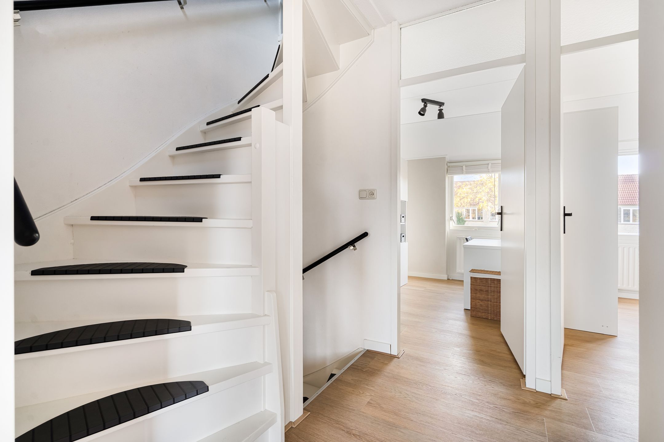 Foto 30 van Esdoorn 31