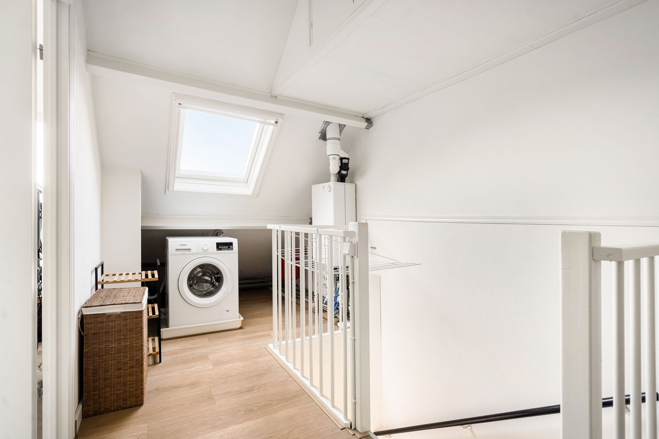 Foto 48 van Esdoorn 31