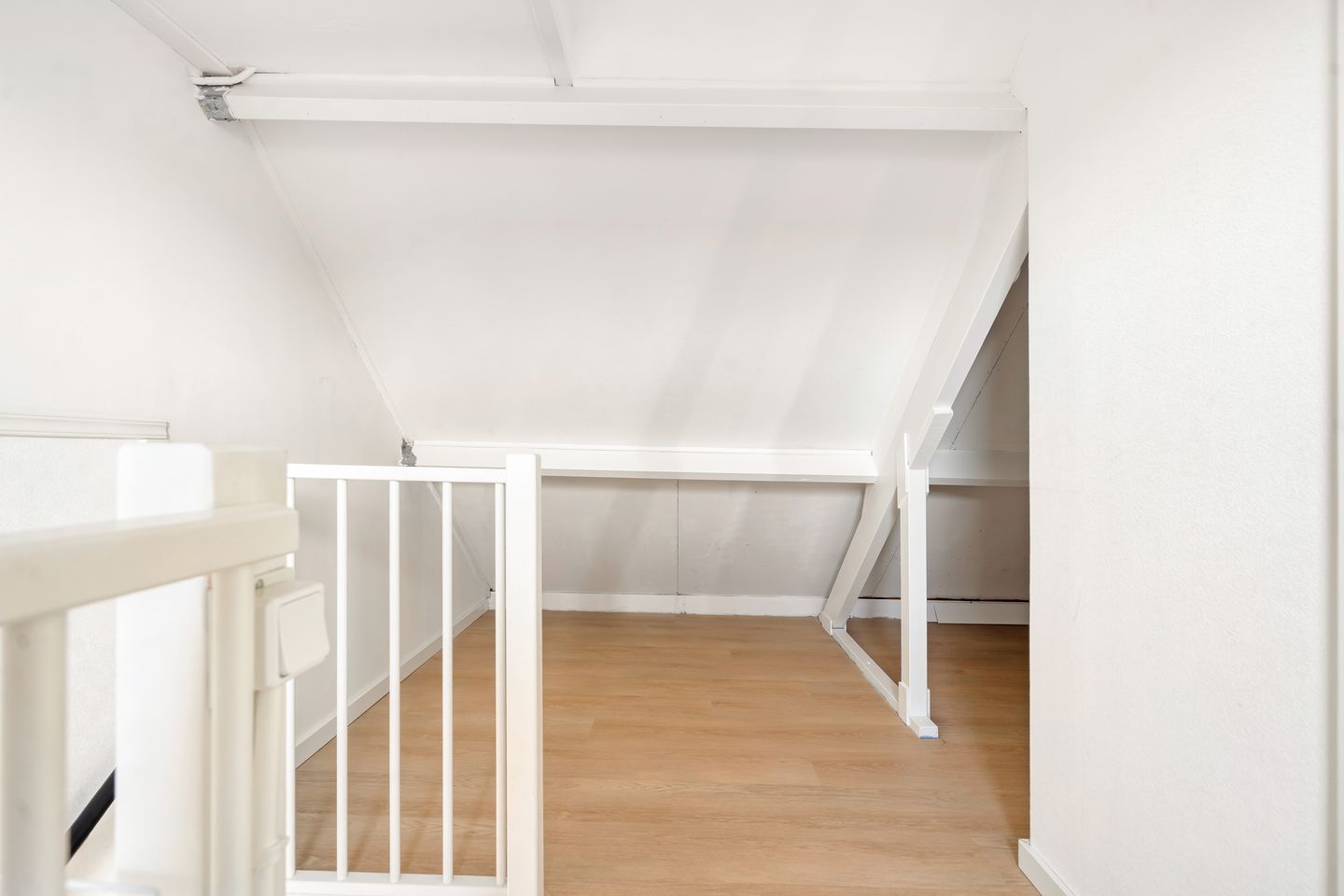 Foto 49 van Esdoorn 31