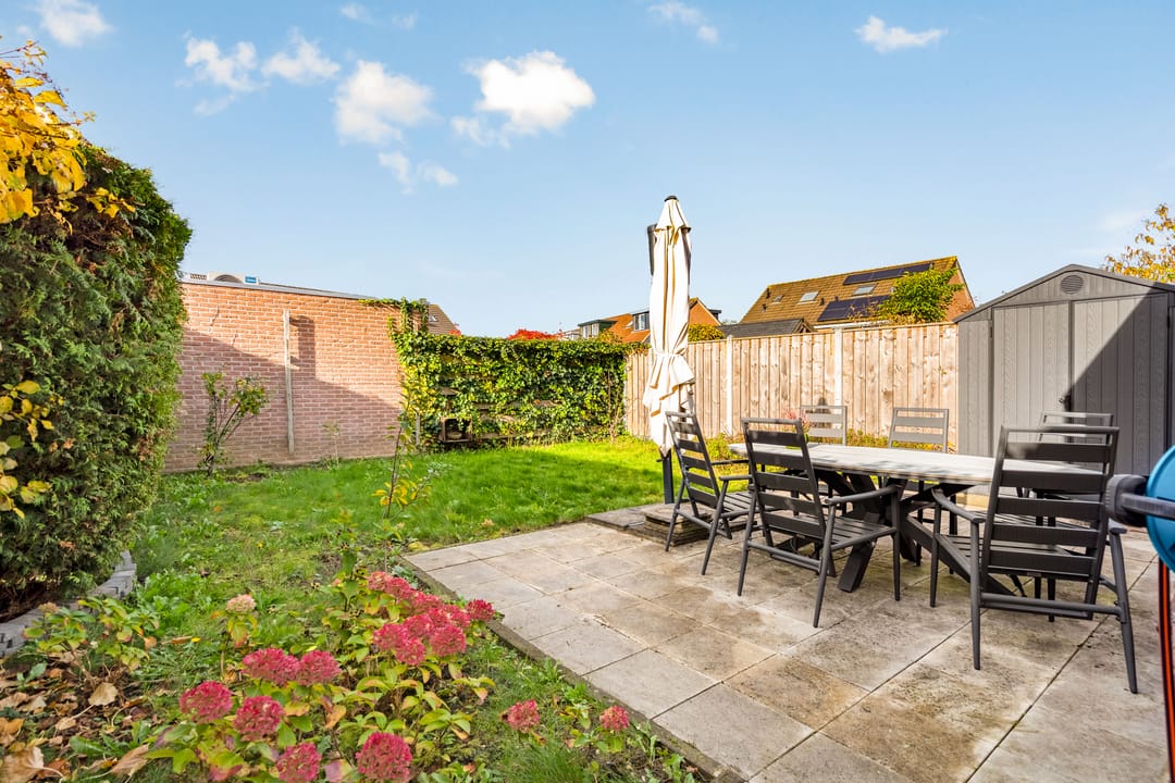 Foto 58 van Esdoorn 31