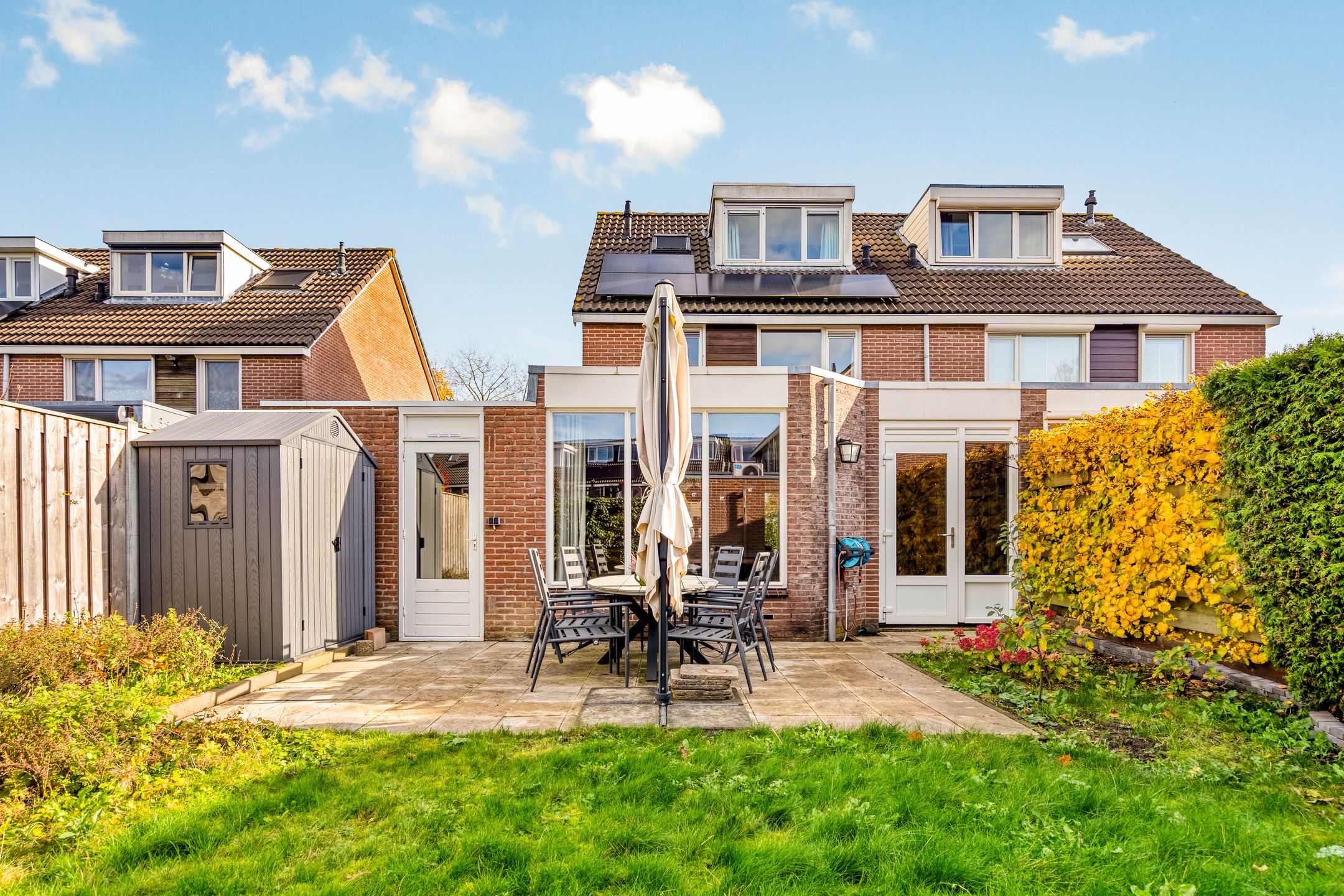 Foto 60 van Esdoorn 31