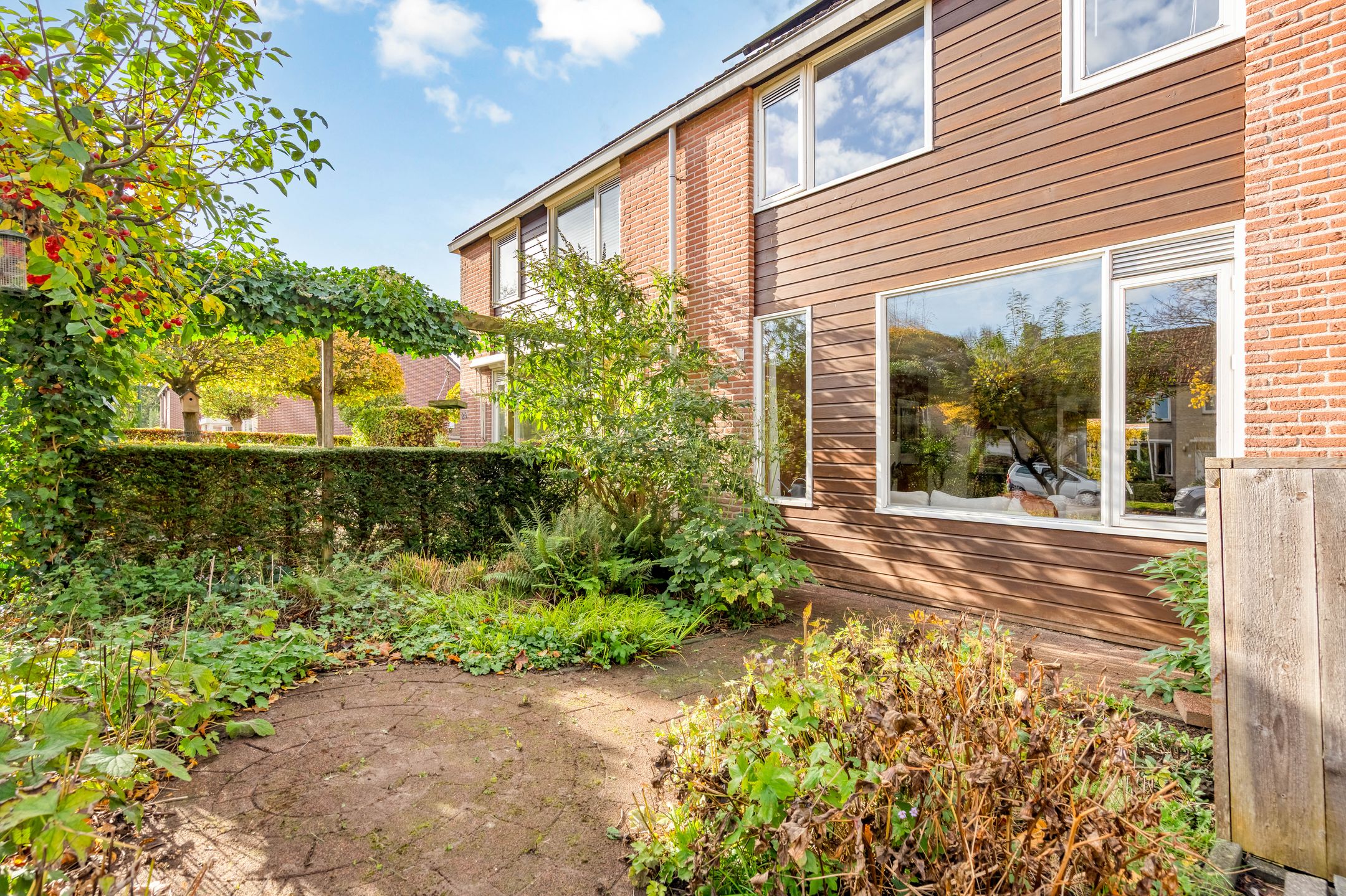 Foto 63 van Esdoorn 31