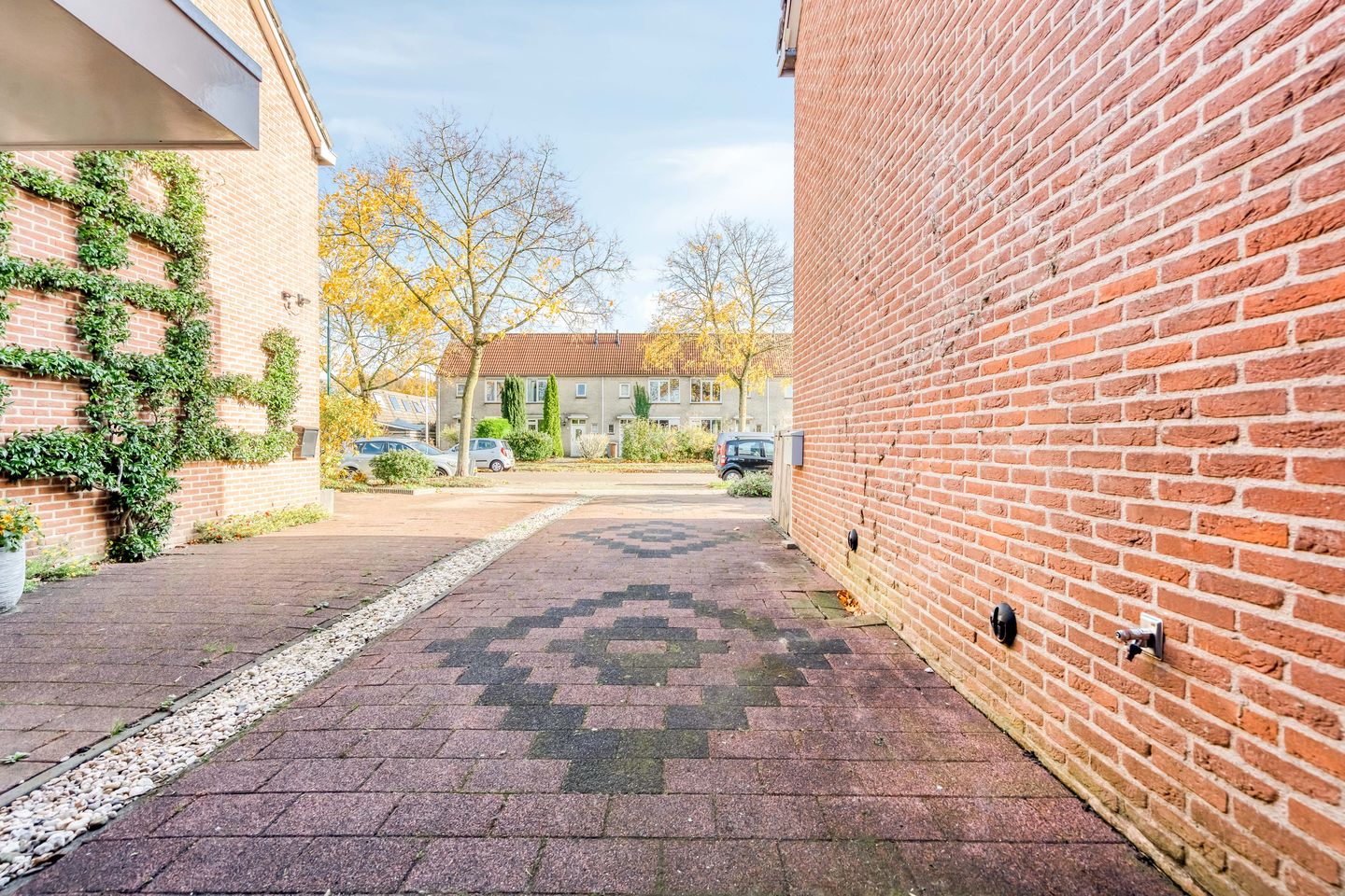 Foto 65 van Esdoorn 31