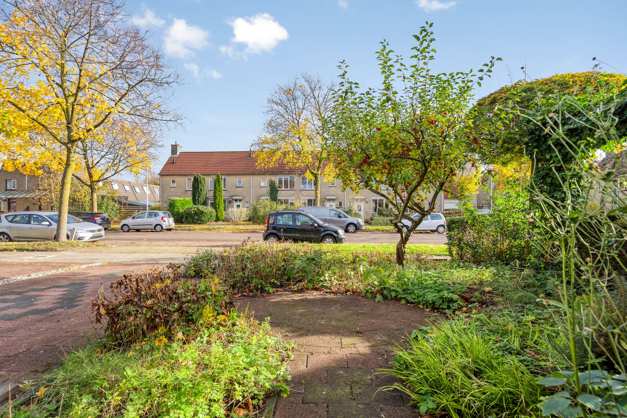 Foto 66 van Esdoorn 31