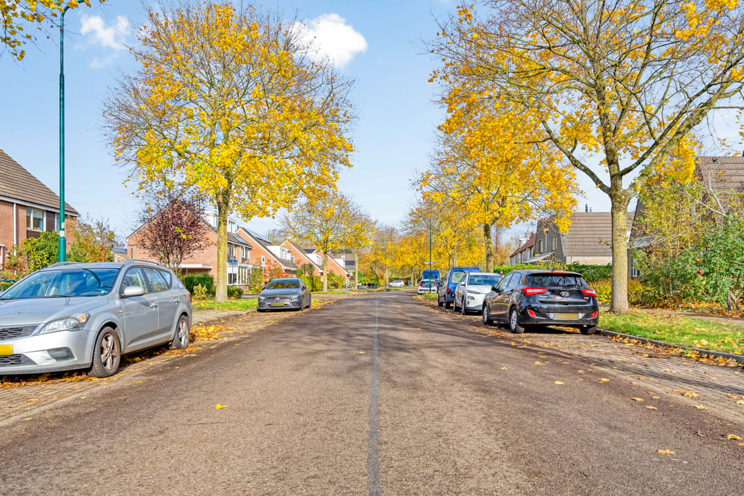 Foto 67 van Esdoorn 31