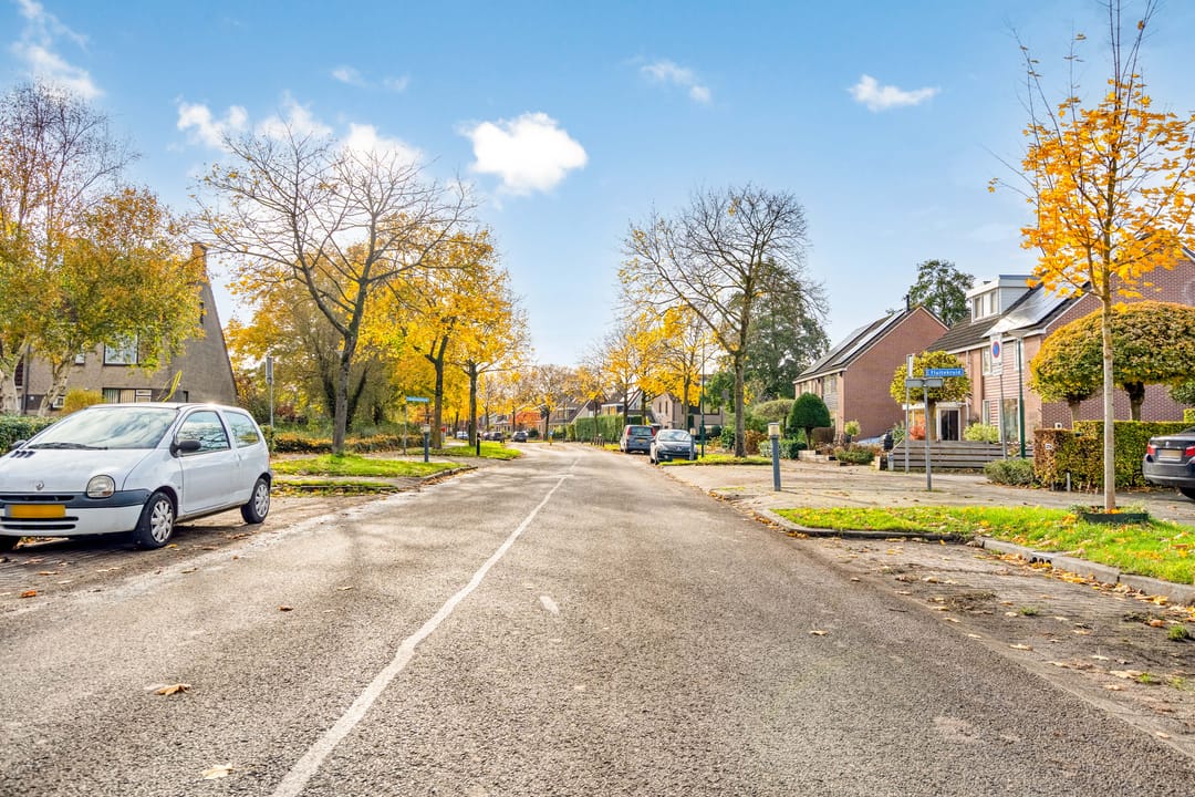 Foto 68 van Esdoorn 31