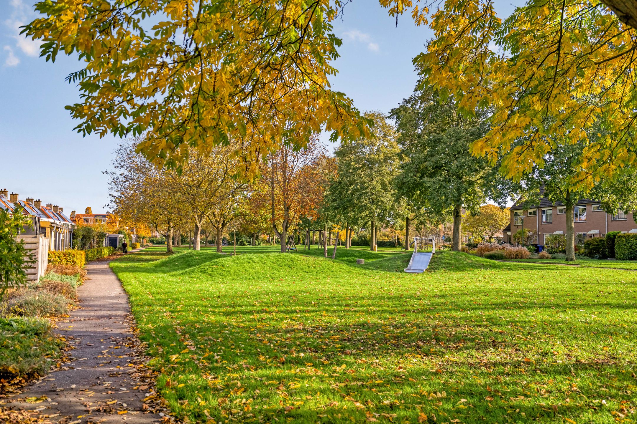 Foto 69 van Esdoorn 31