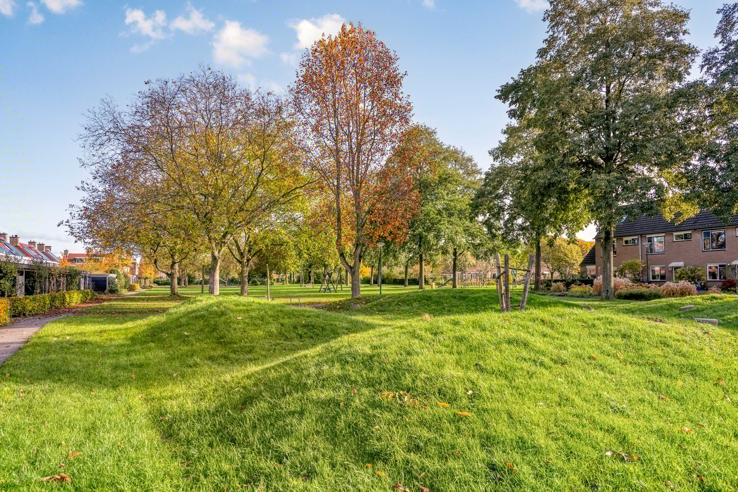 Foto 70 van Esdoorn 31