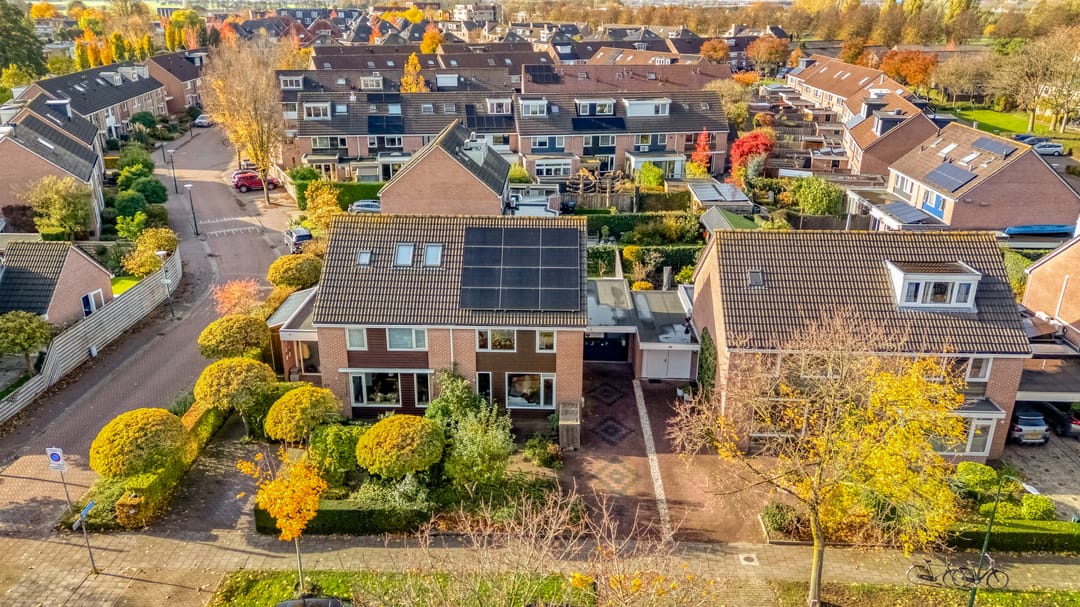 Foto 71 van Esdoorn 31